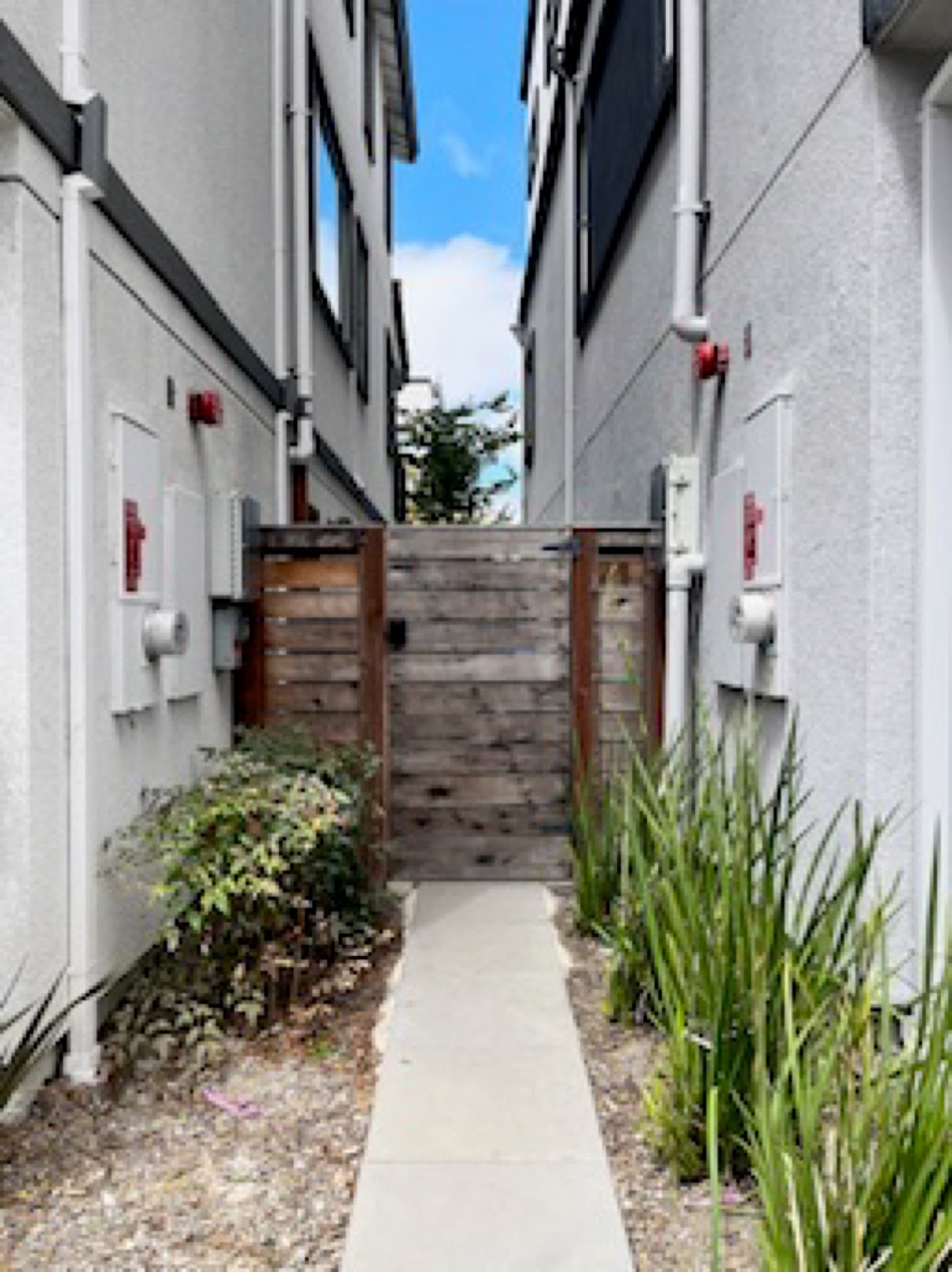 Landscaped side yard